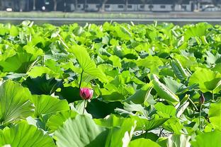 意天空：米兰已与吉拉西随行人员沟通谈转会，但需说服球员本人